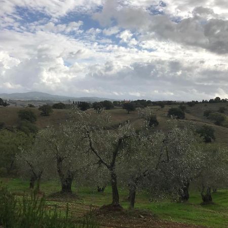 Podere Pini Мальяно-ин-Тоскана Экстерьер фото