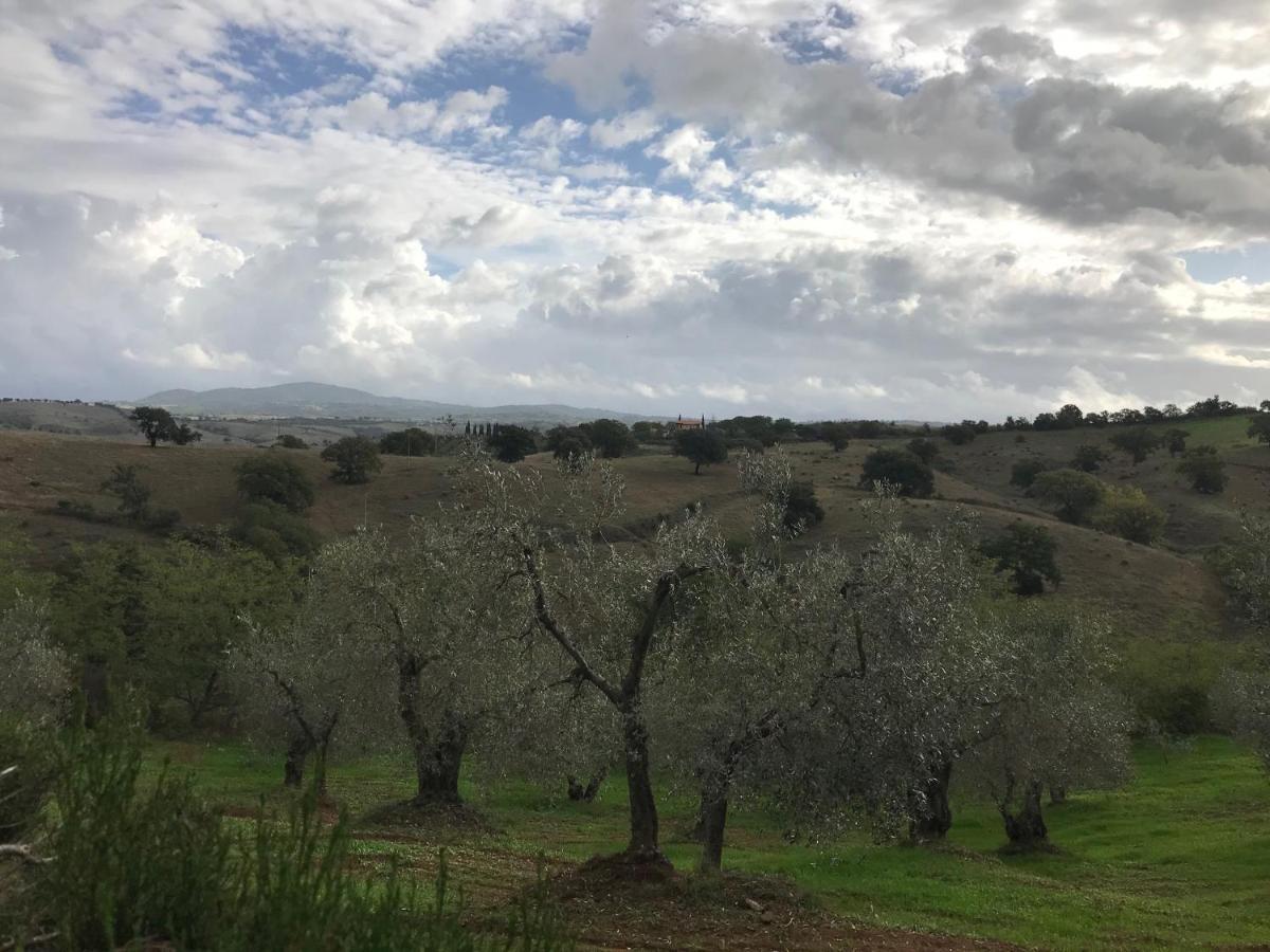Podere Pini Мальяно-ин-Тоскана Экстерьер фото